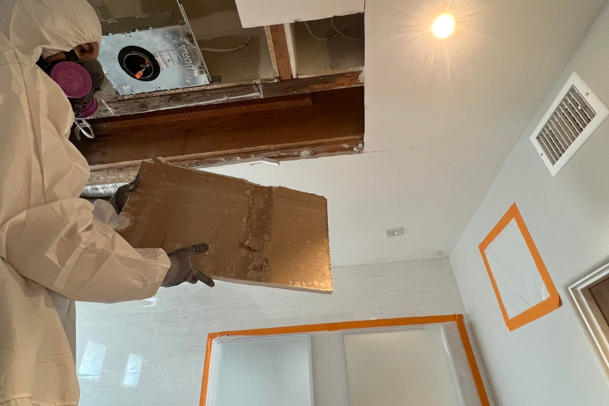 Man checking mold in roof