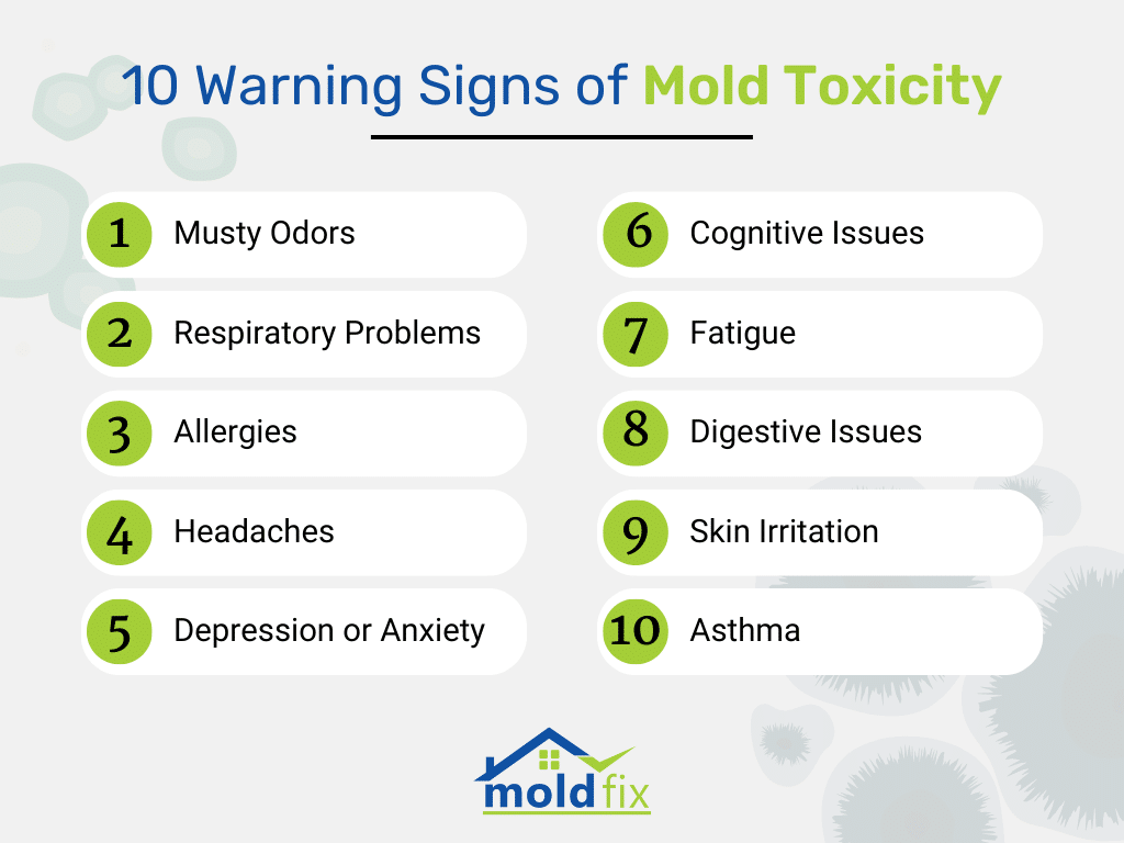 10 Warning Signs of Mold Toxicity | Mold Fix
