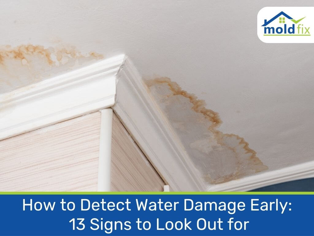 how to detect water damage early 13 signs to look out for
