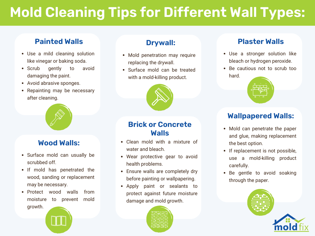 Mold Cleaning Tips