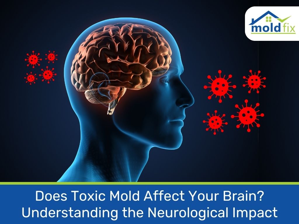 Does Toxic Mold Affect Your Brain? Understanding the Neurological Impact 1 Does Toxic Mold Affect Your Brain?