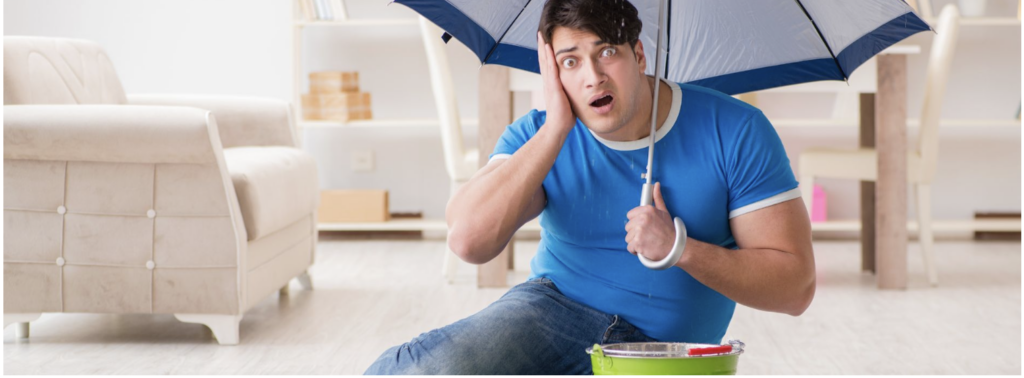 Don't Let Rainy Season Turn In Mold Season 1 Don't Let Rainy Season Turn In Mold Season