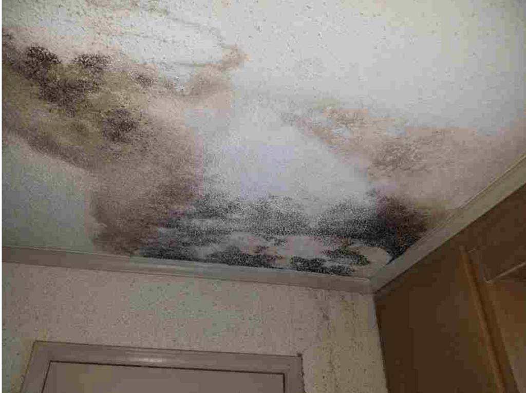 mold on ceiling