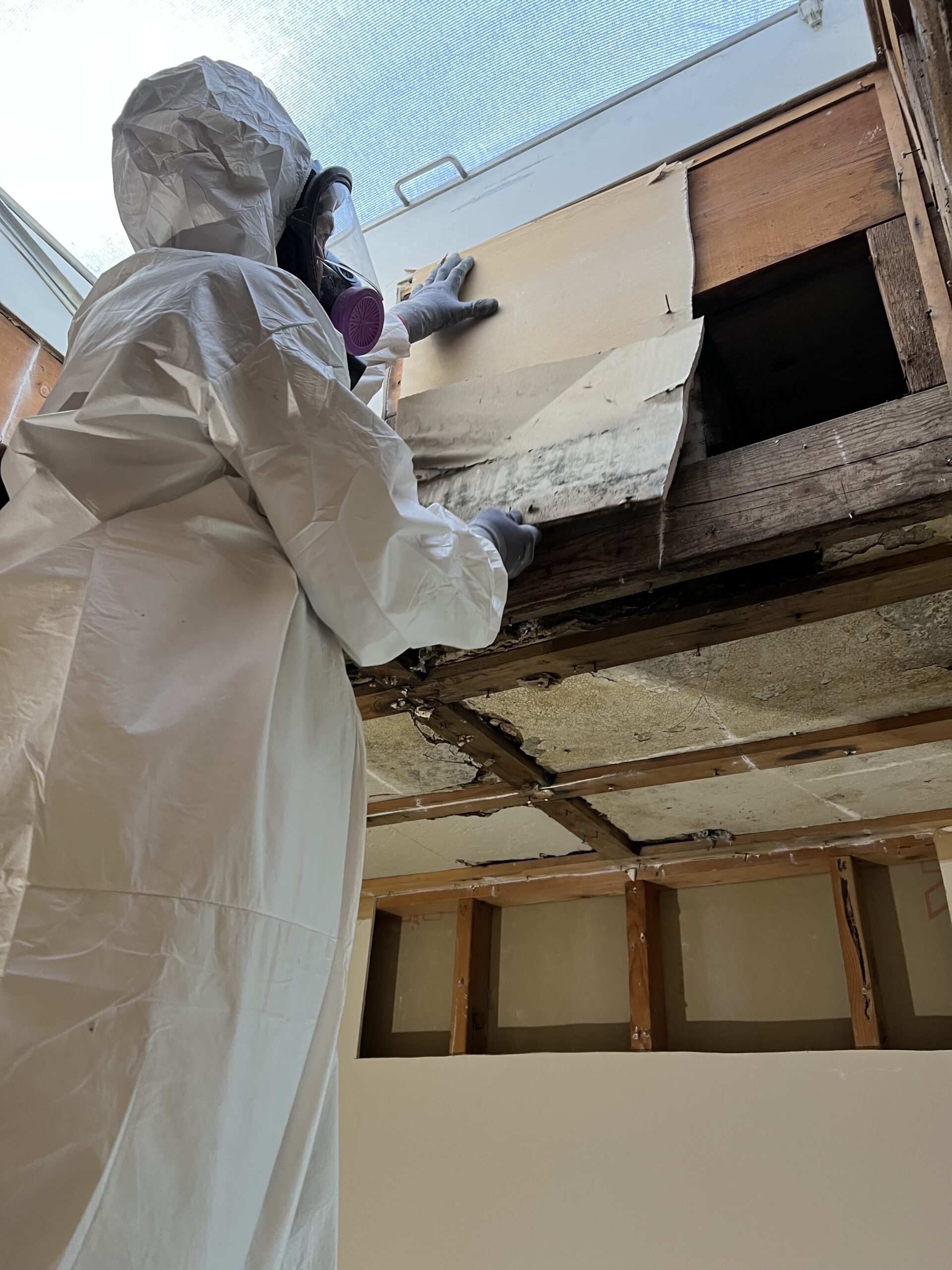 IMG_4628 Part of the mold removal services - removing damaged drywall.