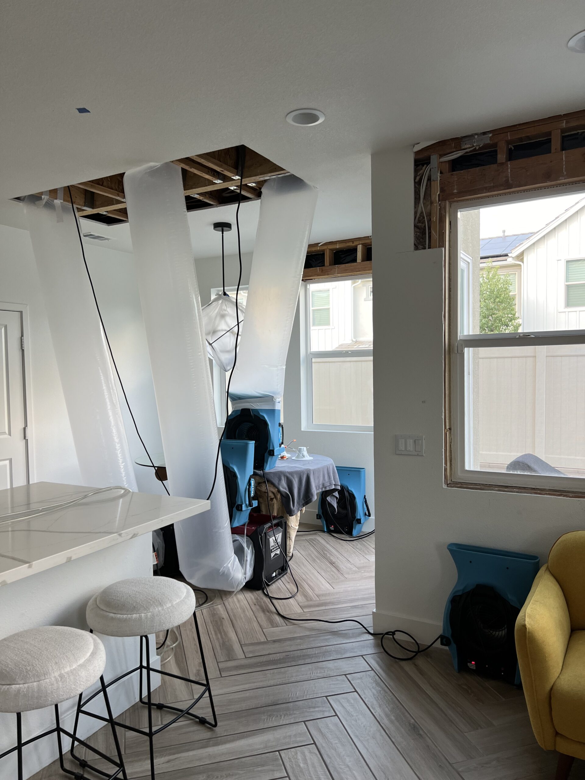 Mold removal specialists removing excess water from an attic.