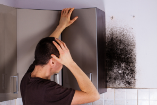 a man discovering mold in his kitchen cabinet