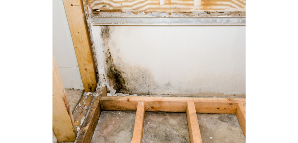 Seasonal tips for Mold in floors in OC Home