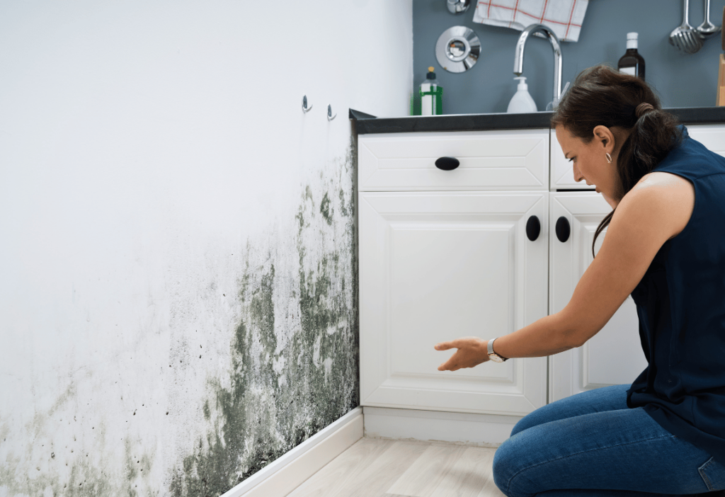 mold-in-kitchen-orange-county