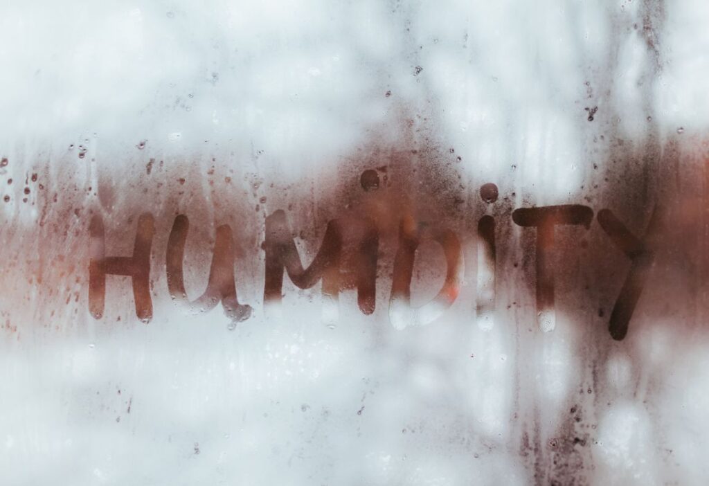 humidity levels to prevent mold growth in newport beach