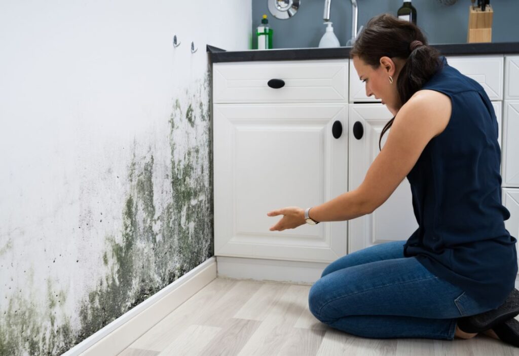 professional mold remediation in laguna beach