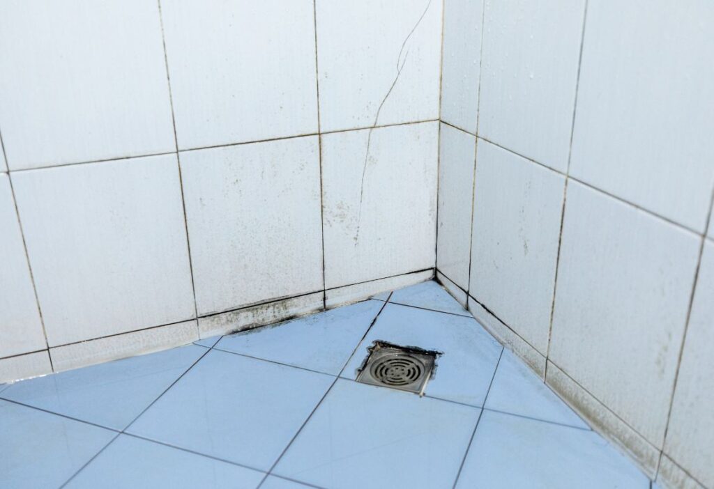 bathroom mold prevention in orange county homes