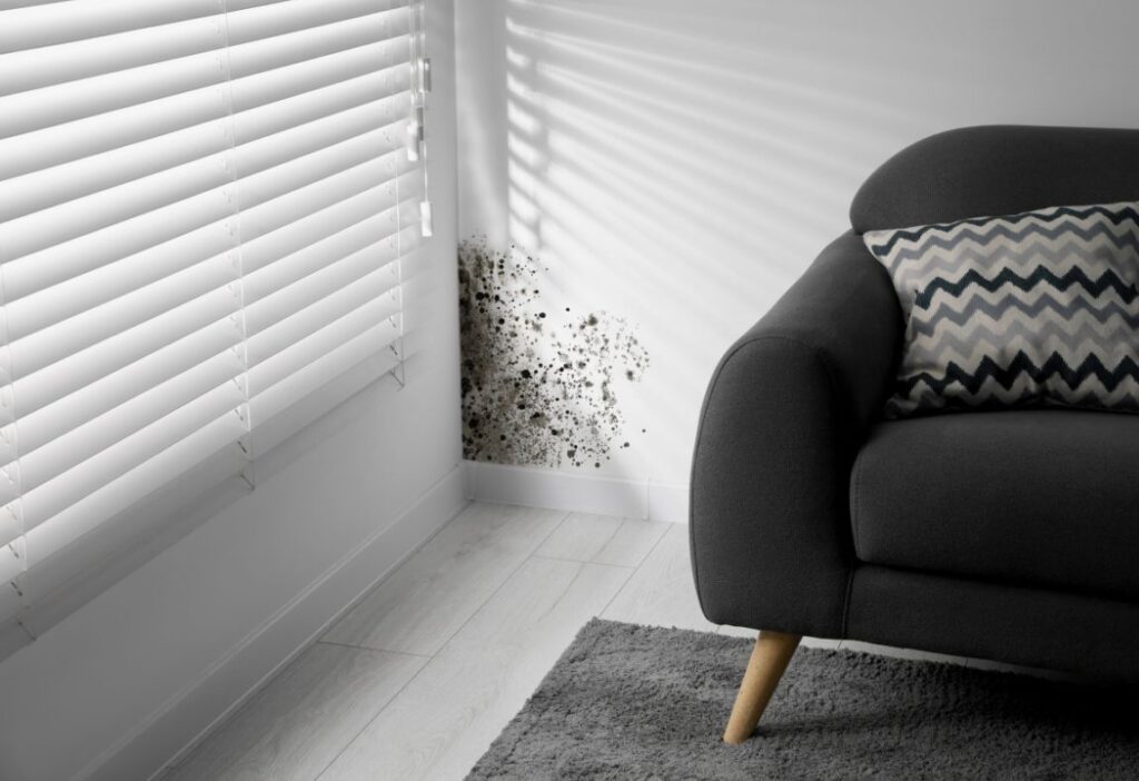 mold in orange county homes ca
