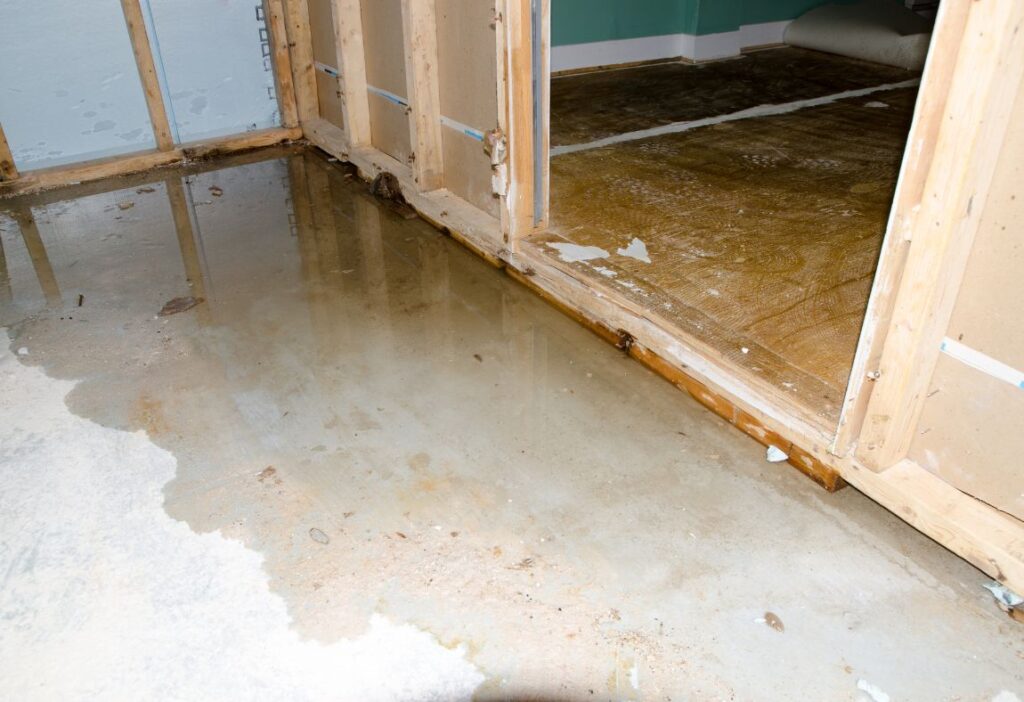 water damage and mold