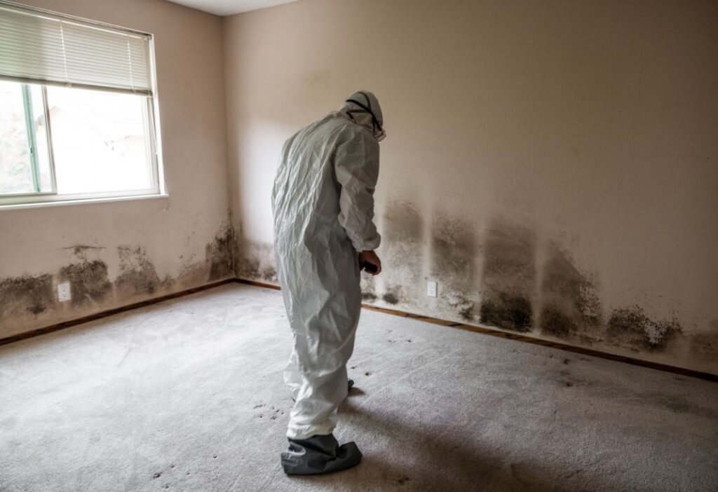 mold remediation in orange county, ca