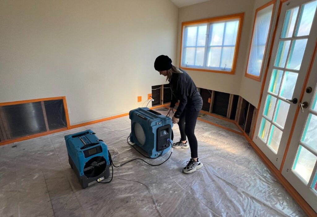 mold remediation company in newport beach