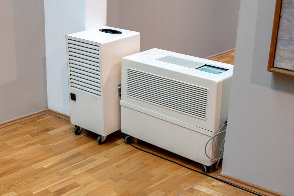 Can a dehumidifier prevent mold?