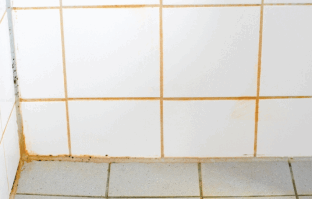 How to Identify Mold Type By Color-9 Mold Colors 11