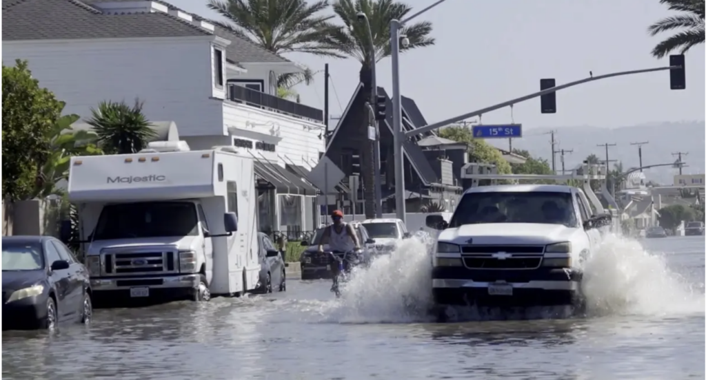 Coastal Flooding & Mold in Homes and Businesses | Mold Fix 1 Coastal Flooding & Mold in Homes and Businesses | Mold Fix 1
