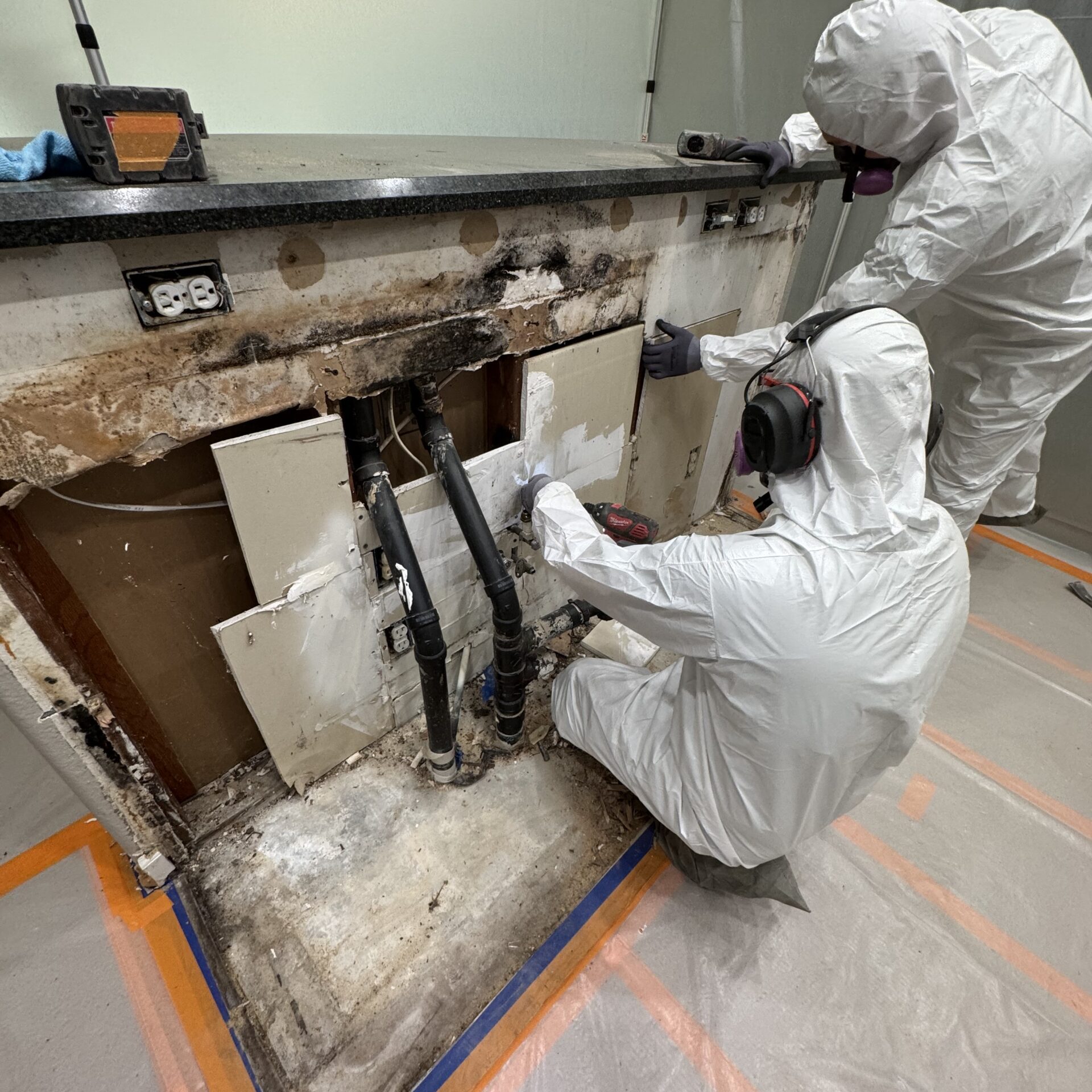 black mold