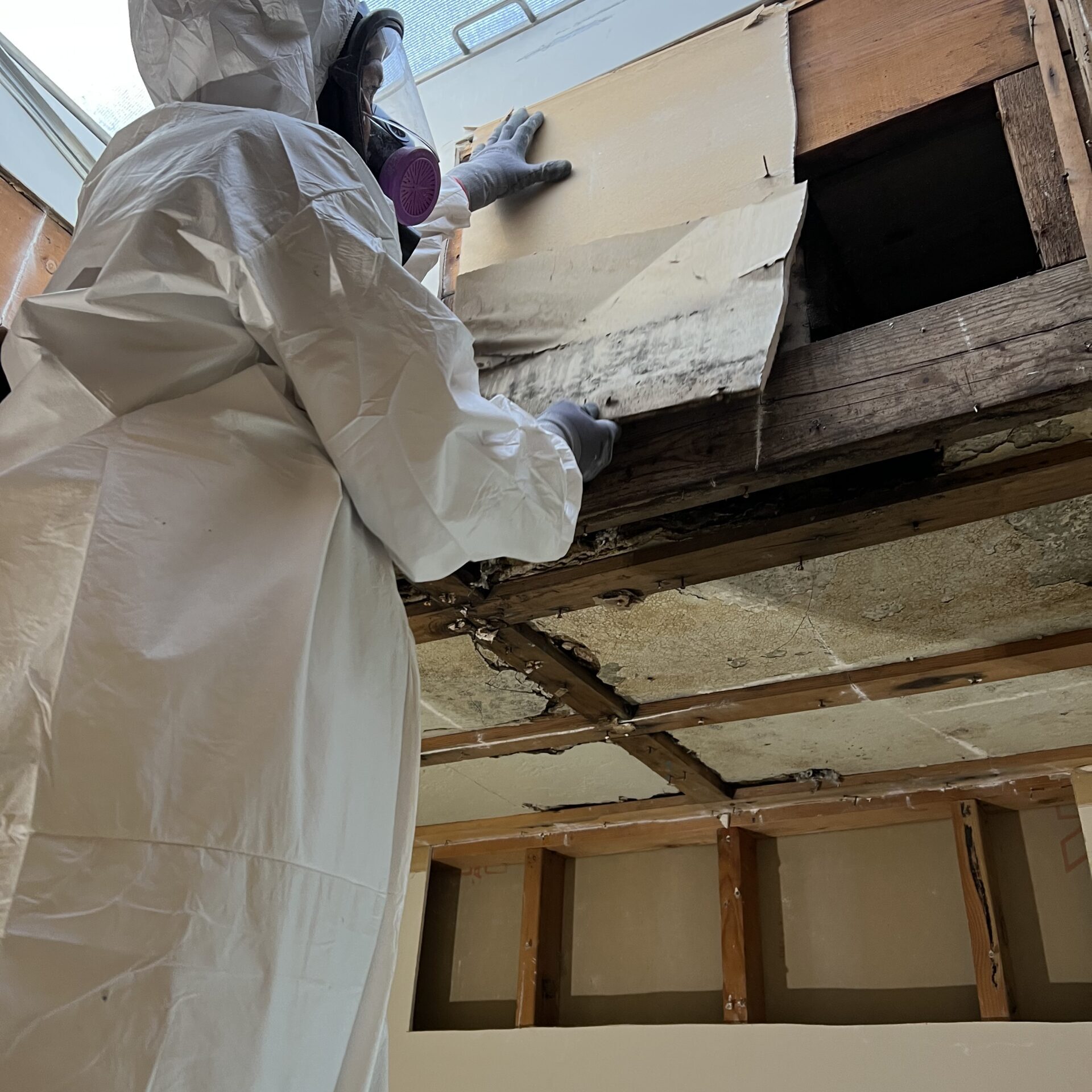 Professional in protective gear inspective ceiling mold damage