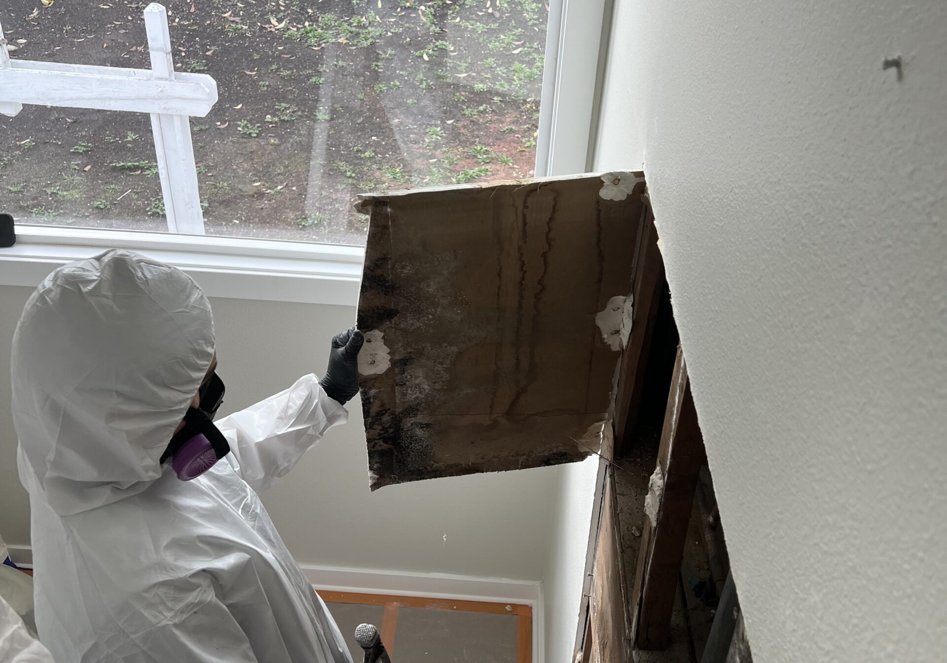 Man removing contaminated mold