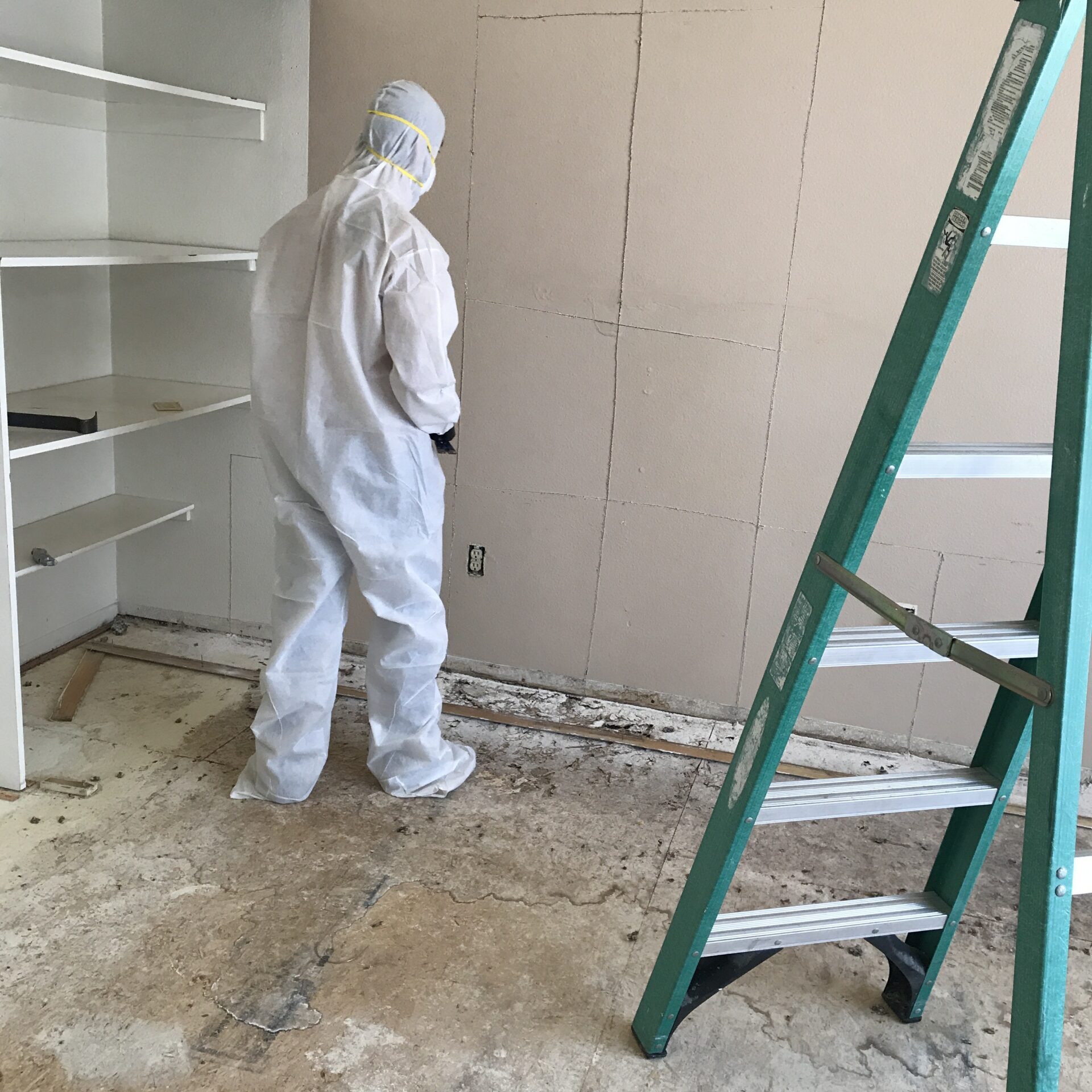 Preparations for mold removal in Orange County