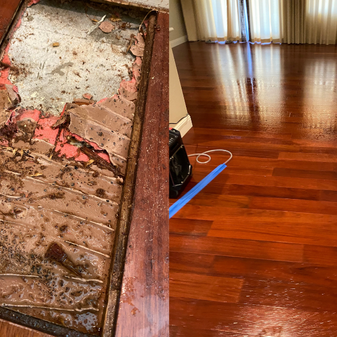 MoldFix Before-After