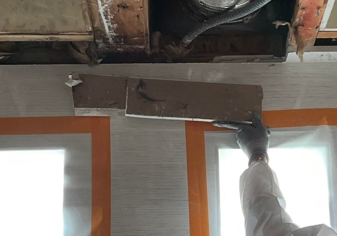 Mold removal in Irvine